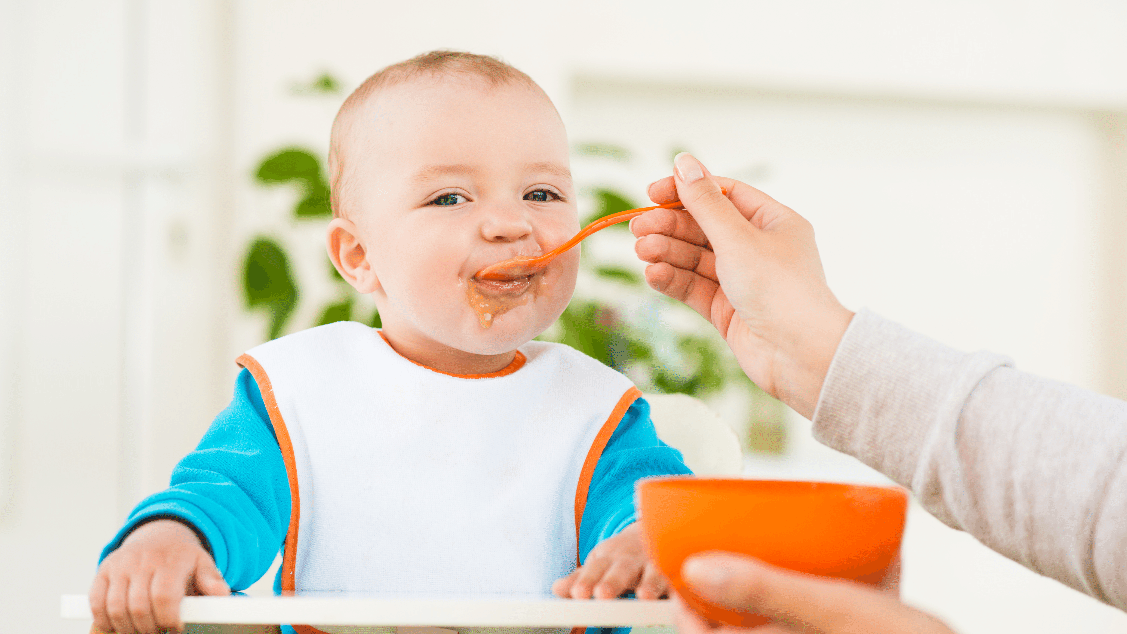 The Best (and Worst!) Solid Foods for Your Baby to Start Eating